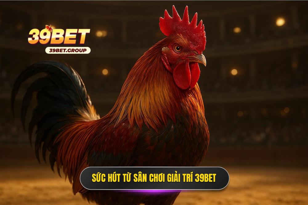 2.sức Hút Khó Cưỡng Từ đấu Trường Đá Gà Thomo 39bet